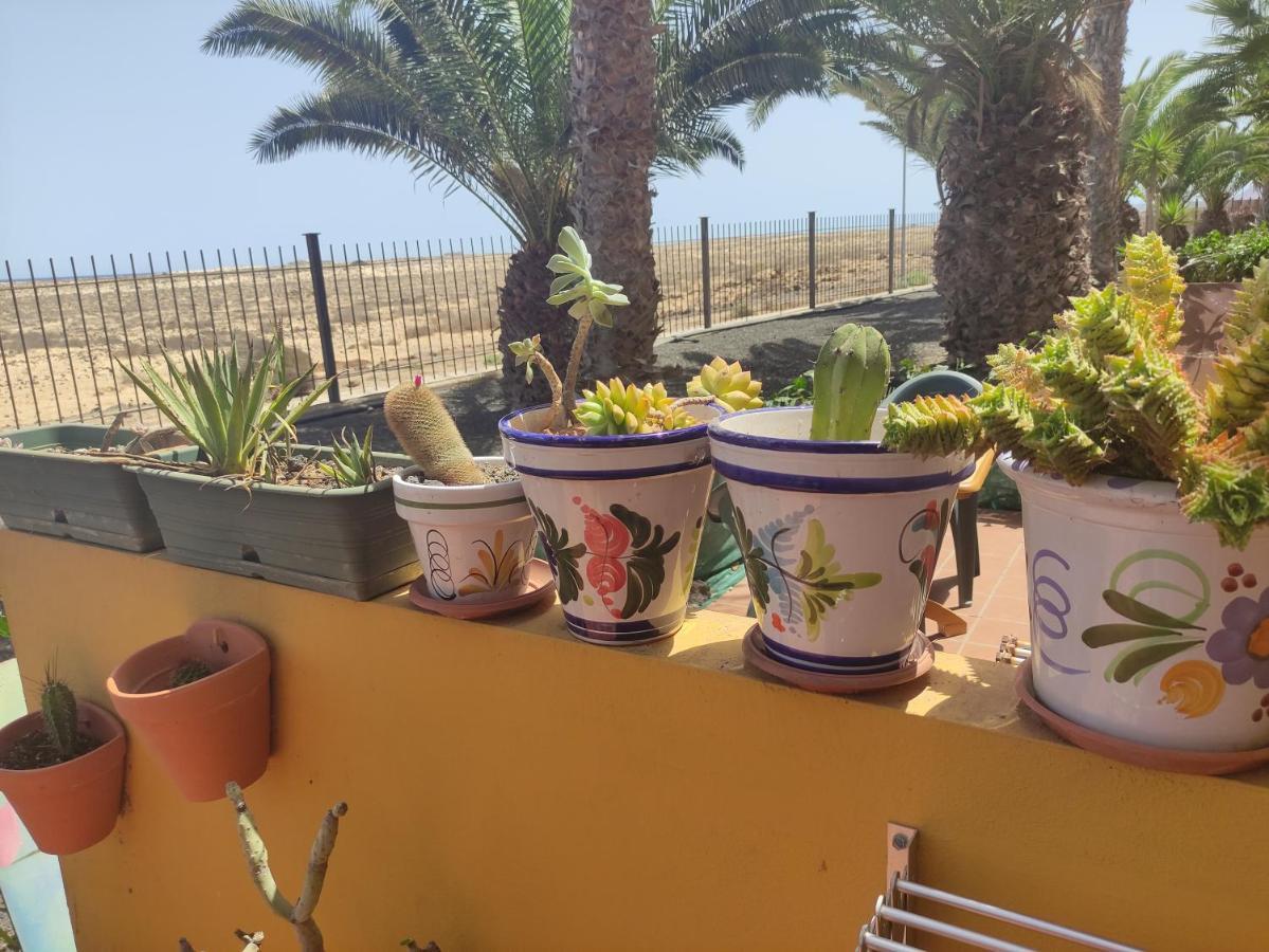 Marenazul Villa Corralejo Kültér fotó